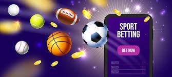 vip999 VIP အဆင့်နှိုင်းယှဉ် Cashback Benefit ဇယား